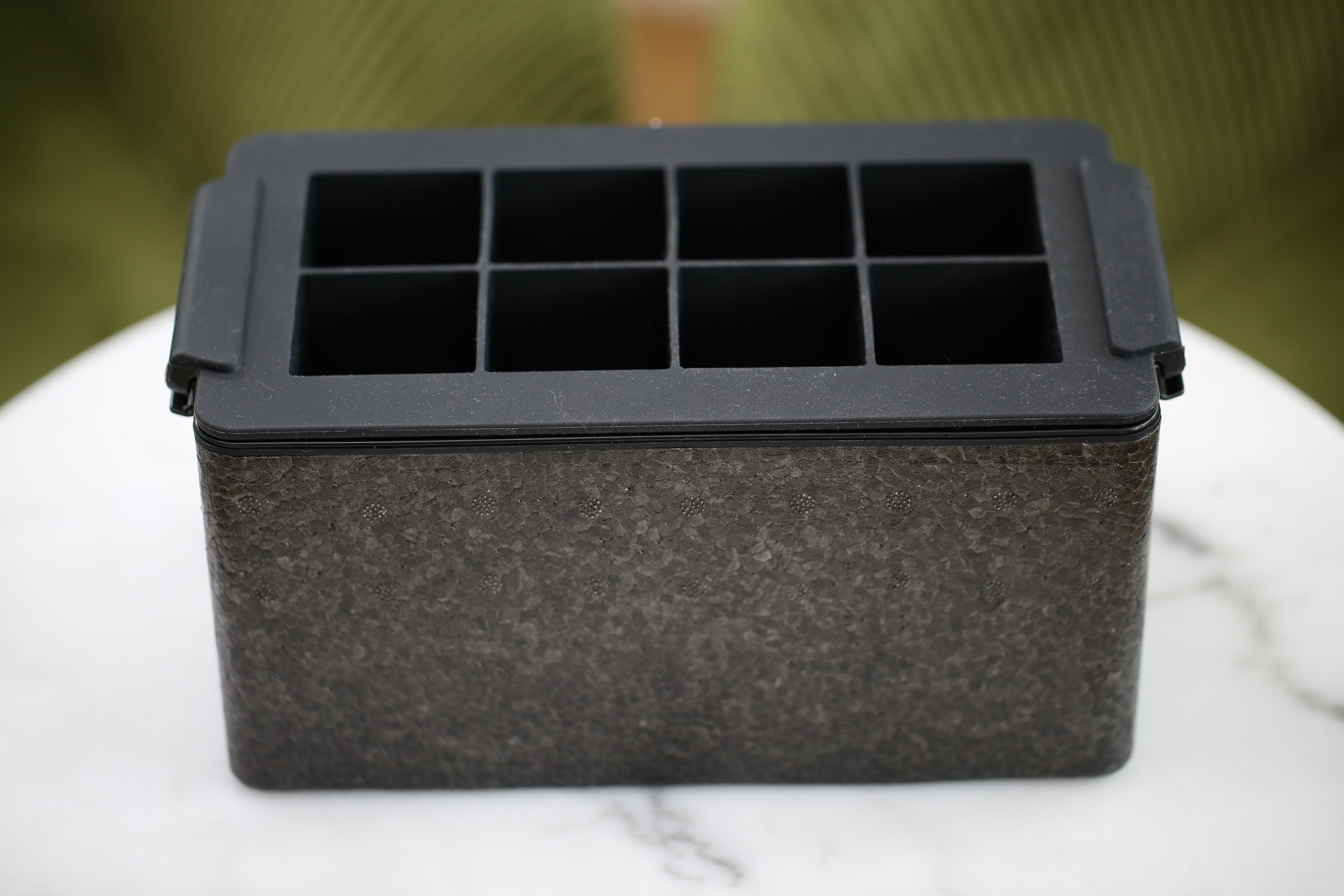 Crystal Clear Ice Mould